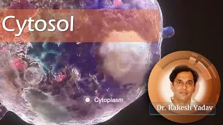 Cytosol  Dr Rakesh Yadav  cell cellbiology cytology introductiontobiology cytoplasm [upl. by Igal513]