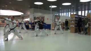 Okinawan Matayoshi Kobudo Demonstration in Finland [upl. by Artied]