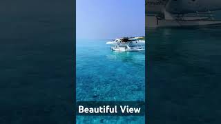 Maldives Dhigurah island 🏝️ vlogers viralvlogs myvlog shortvideo youtubeshorts [upl. by Stilwell]