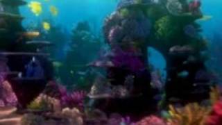 finding nemo  music video hmyn to the sea from titanic [upl. by Hurley]