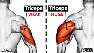 How To Build Your WIDER Triceps workout AT GYM Effective Exercises [upl. by Reis]