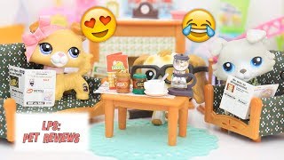 LPS A New Living Room 😍😂 [upl. by Rod161]