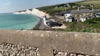 Seven Sisters White Cliff England Jeremy Wang 英國七姐妹巖 王英明攝 [upl. by Essile]