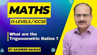 What are the Trigonometric Ratios  Maths O LEVEL amp IGCSE [upl. by Ravel]