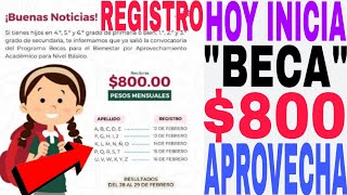 ☝️HOY SALIO 800🎯 BECA APROVECHAMIENTO TIENES BUEN PROMEDIO🥊 SOLICITA AQUÍ HIJOS E HIJAS REGISTRO🤑 [upl. by Fitts133]