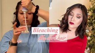 HOW TO BLEACH DARK HAIR AT HOME  ION BRIGHT WHITE CREME LIGHTENER [upl. by Arikahs]