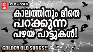 യുഗാന്ത്യം വരെ മലയാളികളുടെ മനസ്സിൽ സ്ഥിരമായി നിലനിൽക്കും പഴയ നിത്യഹരിത ഗാനങ്ങൾ  OLD IS GOLD [upl. by Ibson251]