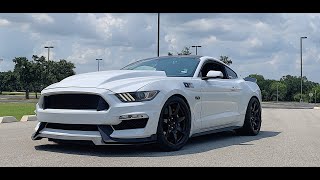 New Cervini 4 Cowl Hood on my Mustang GT [upl. by Routh]