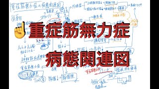 重症筋無力症の病態関連図 [upl. by Arda]