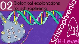 Biological Explanations for Schizophrenia AQA ALevel [upl. by Oel960]