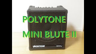 POLYTONE MINI BLUTE II 2 試奏レビュー。ポリトーン ミニブルート 2。説明欄にて取扱説明書あり [upl. by Eibba]