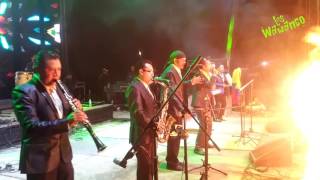 LA RUANA en vivo los wawanco TOUR 2017 MEXICO [upl. by Anod]