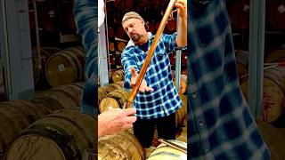 whiskey thieves thieving 101 whiskeybarrel whiskeythief bourbon stealing from bourbonbarrel [upl. by Bensen62]