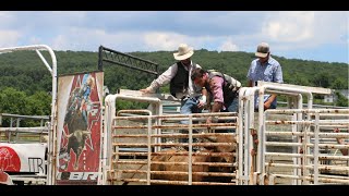 Raising bucking bulls for the rodeo [upl. by Kristoforo982]