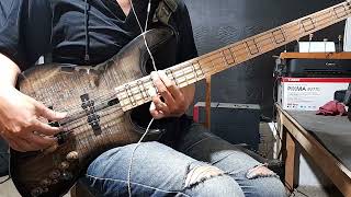 wonderful slippery thing  guthrie govan  Bass Cover [upl. by Geesey]