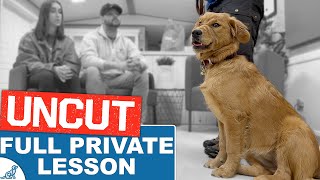 Dog Training SOS Aggressive Dog Or Leadership Issue [upl. by Pawsner579]