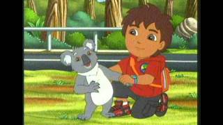 Go Diego Go  Abrazo de Koala [upl. by Ellsworth]