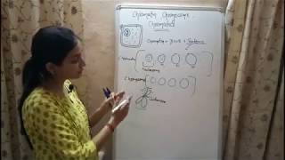 BIOLOGY Lecture 3  Chromatin Chromosome and Chromatid  Genetics Biology [upl. by Aicilyt]