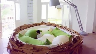 46 Unique amp Cool Bed Ideas [upl. by Norreg]