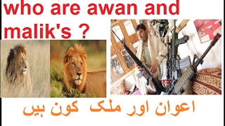 WHO ARE AWANWHO ARE MALIKSMALIK ARE BESTSHAJRA A ZSB [upl. by Humfrey]