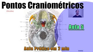 Pontos Craniométricos  Parte 5  Teórica  Anatomia Humana [upl. by Stav]