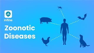 Zoonotic Diseases  Diseases that are Passed from Animals to Humans  MFine [upl. by Honig]