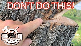 No Nonsense Guide to Tree Felling How to cut down a tree safely FarmCraft101 [upl. by Goran]