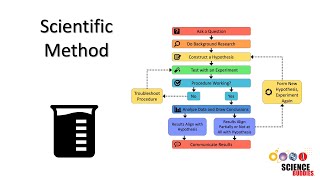 The Scientific Method Steps and Examples [upl. by Singhal]