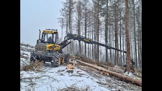 🌲Ponsse Ergo amp SNOW • Ponsse logging • HarvesterAction • Forestmachine • Alterauge • big trees🌲 [upl. by Saticilef]