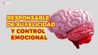 ÓRGANO CEREBRAL QUE INTERVIENE EN LA FELICIDAD Y CONTROL EMOCIONAL  CORTEZA PREFRONTAL DEL CEREBRO [upl. by Ailisab]