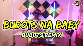 BUDOTS NA BABY Budots Dance 2024  Dj Sandy Remix [upl. by Rialcnis735]