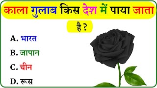 GK Question  GK In Hindi  GK Question and Answer  GK Quiz [upl. by Yendyc]