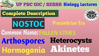 NOSTOC A CYANOBACTERIABGA Structure Life Cycle [upl. by Christenson456]