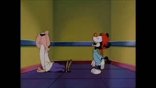 Animaniacs  Ups and Downs Songs Instrumental [upl. by Inglis]