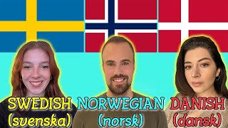 Swedish vs Norwegian vs Danish How Similar Are They [upl. by Amsed]