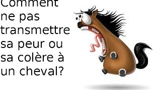 comment ne pas transmettre ma peur ou ma colère aux chevaux [upl. by Okimat18]