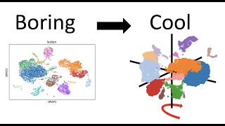 3D rotating singlecell UMAP [upl. by Ruffi]