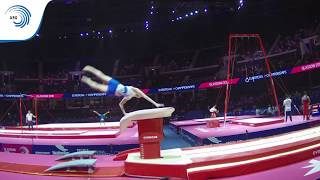 Benjamin OSBERGER FRA  2018 Artistic Gymnastics Europeans junior qualification vault [upl. by Suiluj]