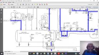 Facilitating a HAZOP Hazard and Operability Studies [upl. by Jadd541]