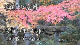 20241115 宝楽園、 お気に入りの庭が一つ増えました、さぁ紅葉はどうかな [upl. by Ahsas]