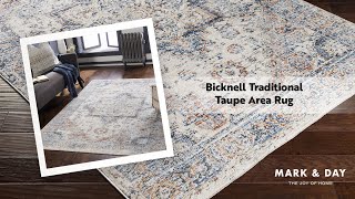 Bicknell Traditional Taupe Area Rug [upl. by Mcgaw288]