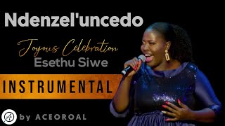 Ndenzele uncedo  Esethu Siwe  INSTRUMENTAL Covered by ACEOROAL [upl. by Leahcimdivad]