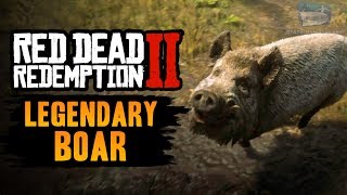 Red Dead Redemption 2 Legendary Animal  Legendary Boar [upl. by Kcirdorb]