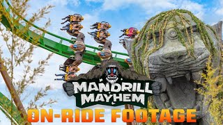 Mandrill Mayhem POV onride  World of Jumanji  Chessington World of Adventures Resort [upl. by Ecyac]