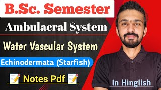 Water Vascular System In Echinodermata  StarFish  Bsc Semester  By Dadhich Sir [upl. by Sachs]