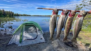 4 Days Camping and Fishing The Alaska Kenai Peninsula [upl. by Ralat]