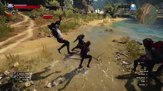 Witcher 3 Wild Hunt Fun and Powerful Metamorphosis build [upl. by Berkly]