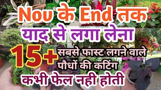 Nov केआखिर तक जरूर लगाना 15 सबसे फास्ट लगने वाले पौधों की कटिंग  plants grow by cutting very fast [upl. by Naibaf]