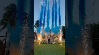 The best gender reveal in the world🌎🎉🎉 genderrevealideas genderrevealideas [upl. by Inaej]