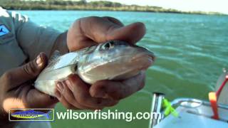 How to catch whiting [upl. by Tavie339]